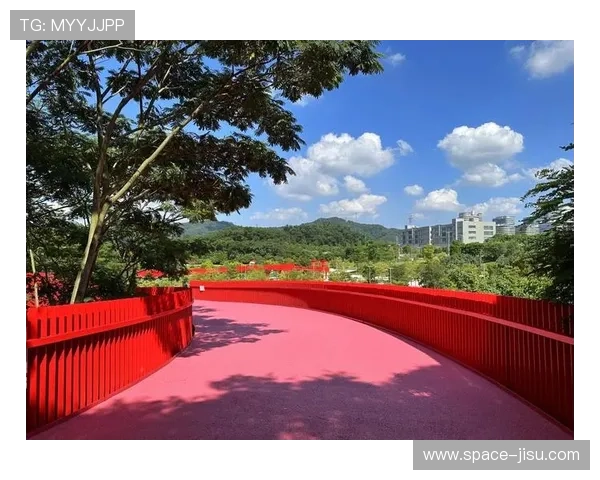 国际级场地落户深圳光明，虹桥公园小轮车赛场将作为永久设施释放长效价值